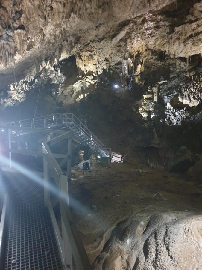 Vila Dionysos Brasov Ghimbav Εξωτερικό φωτογραφία