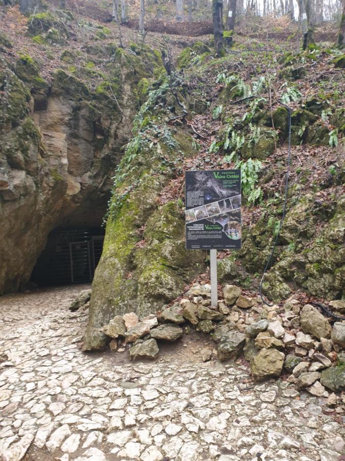 Vila Dionysos Brasov Ghimbav Εξωτερικό φωτογραφία