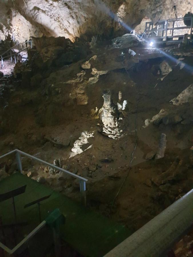 Vila Dionysos Brasov Ghimbav Εξωτερικό φωτογραφία