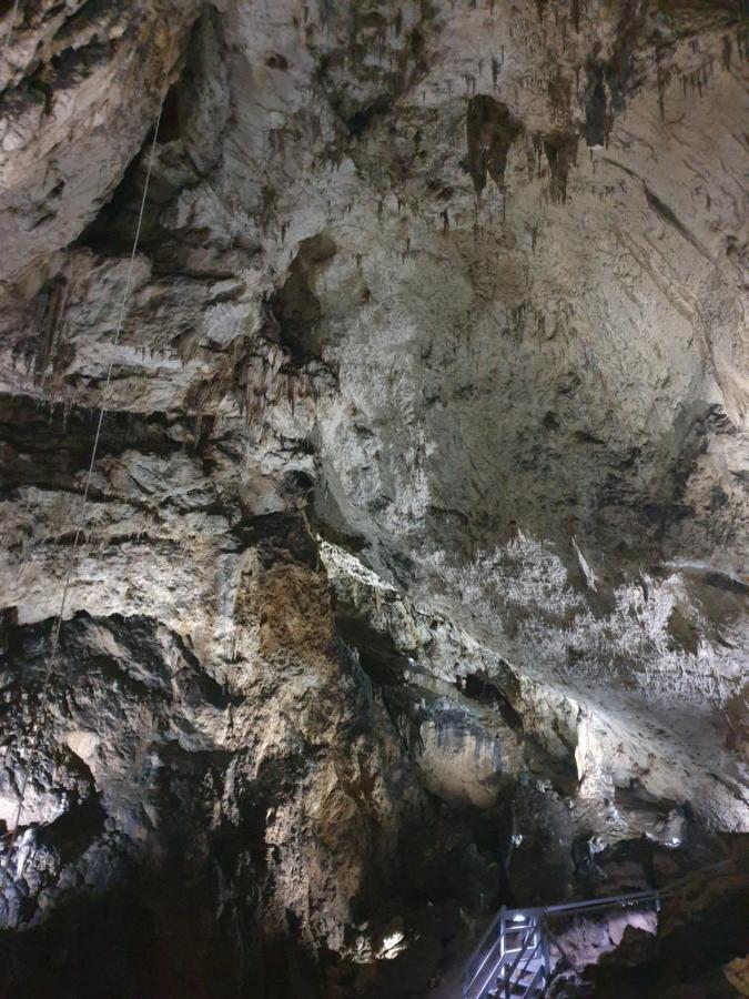 Vila Dionysos Brasov Ghimbav Εξωτερικό φωτογραφία
